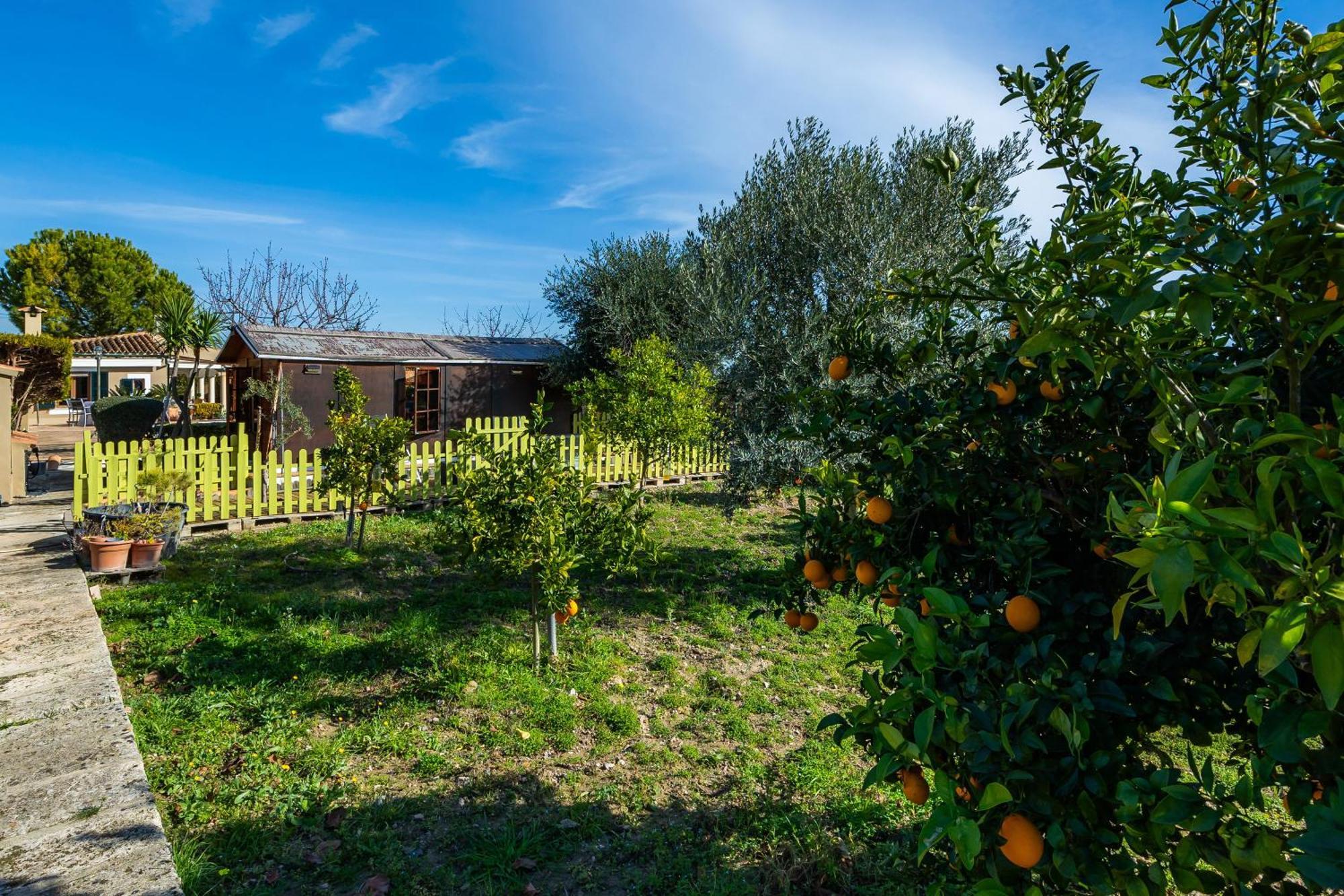 Finca Son Macia Selva (Mallorca) Exterior foto